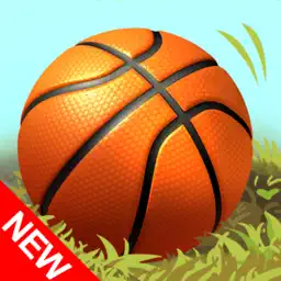 Basketbon